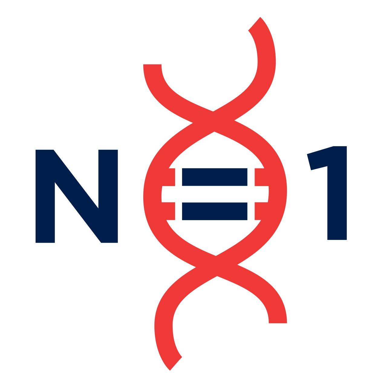 N1C logo